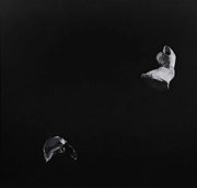 DP-2011-03-10_klein