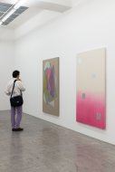 Marita Fraser, Installation Shot, 2015, Kerstin Engholm Galerie, Vienna