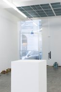 Installation Shot: Cartoon Physics, Foto: Stefan Lux _ Nicholas Matranga, Was it a rat I saw, 2010